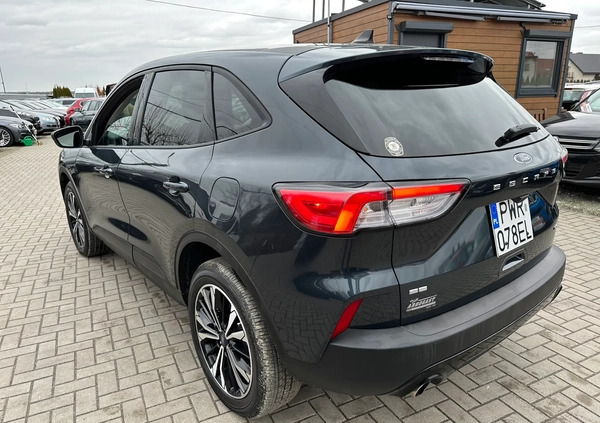 Ford Escape cena 104000 przebieg: 14000, rok produkcji 2022 z Częstochowa małe 497
